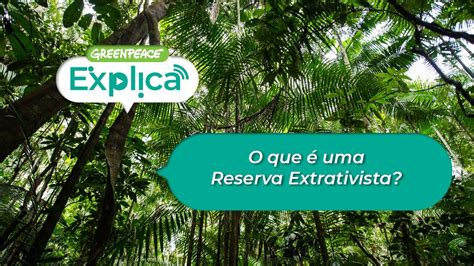 O Que Uma Reserva Extrativista Greenpeace Explica Youtube