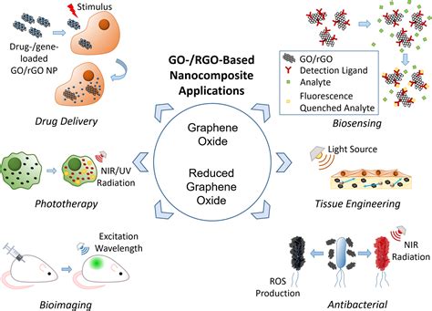 Recent Biomedical Advancements In Graphene Oxide And Reduced Graphene