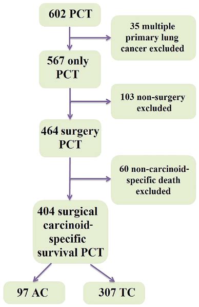 Selection Of Patients With Pct Ac Atypical Carcinoid Pct Pulmonary