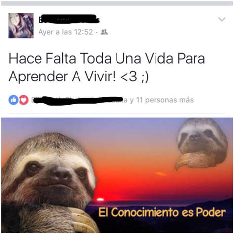 Hace Falta Toda Una Vida Para Aprender A Vivir Quecomico