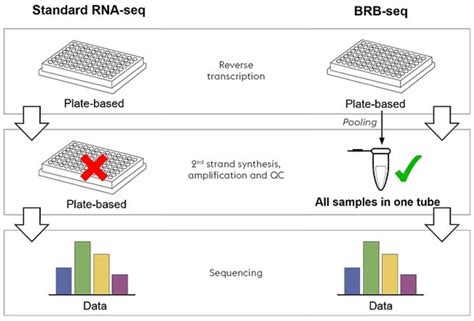 Alithea Genomics新品介绍—high Throughput Rna Sequencing Kits 深圳欣博盛生物科技有限公司