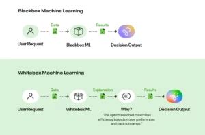 White Box Vs Black Box AI Key Differences Explained