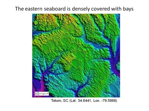 Carolina Bays as evidence of a cosmic impact.