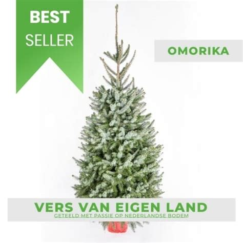 Kerstboom Met Kluit Echte Kerstbomen