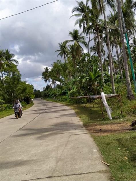 Agricultural Farm Lot For Sale San Francisco Aurora Quezon 119