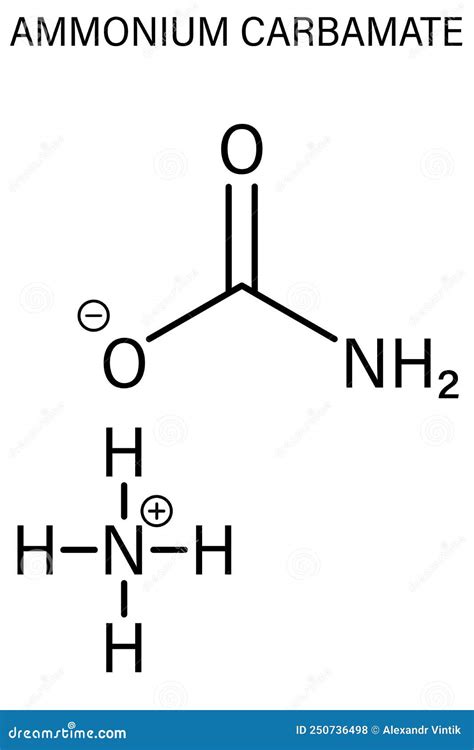 Ammonium Carbamate, Chemical Structure. Skeletal Formula. Vector ...