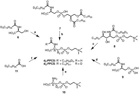 Hypothetical Pathways For The Formation Of Ppcs Neither D Ppcs Nor