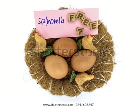 Salmonella Pullorum Images: Browse 4 Stock Photos & Vectors Free ...