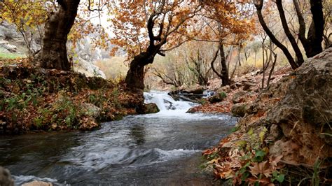 Images Gratuites Plan D Eau Paysage Naturel Courant La Nature