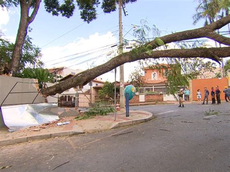 G Queda De Rvore Deixa Moradores Sem Energia Na Serra Em Bh