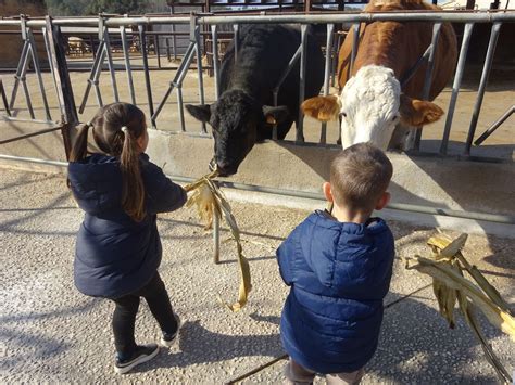 Sortida Granja Escola Les Arenes