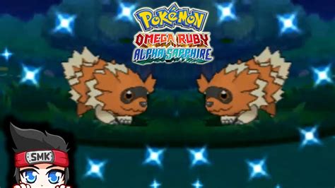 Double Shiny Zigzagoon Pokemon Omega Ruby Alpha Sapphire Youtube