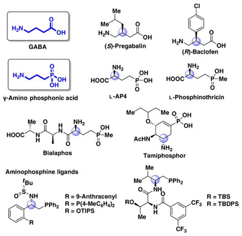 Asymmetric Access Of Amino Acids And Amino Phosphonic Acid