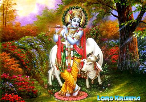 Lord Krishna Images And Hd Krishna Photos Free Download