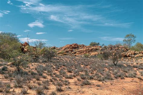 Australian Desert Grasses Stock Photos Free And Royalty Free Stock