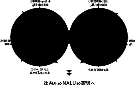 nalu inccareer