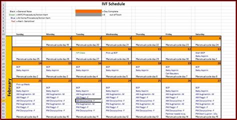 Fet Frozen Embryo Transfer Calendar