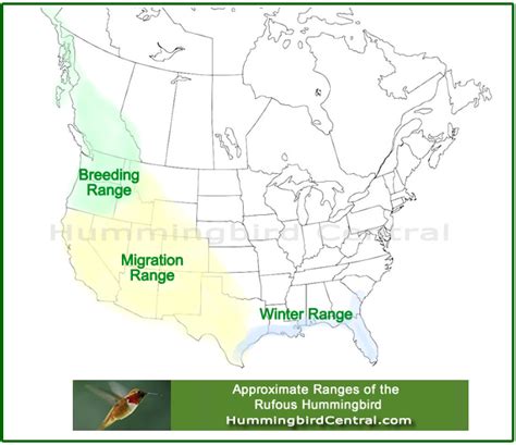 Hummingbird range maps, migration areas, and breeding areas of well ...