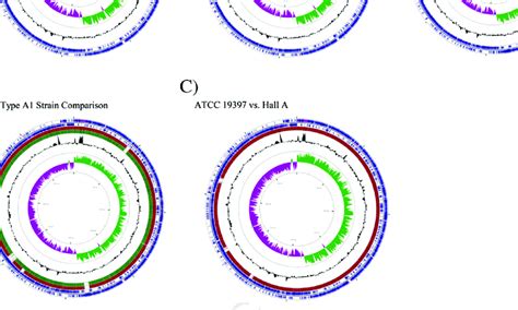 Circular Chromosome Maps Of Hall A Atcc And Atcc A A