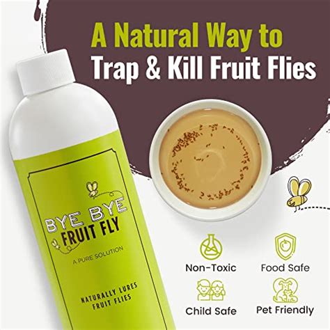 Bye Bye Fruit Fly Natural Fruit Fly Killer Liquid Fly Traps For Indoors Pure Solution Fruit