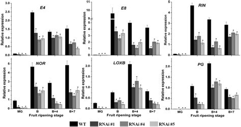 Ripening Associated Gene Expression Profiles In Pericarp Between