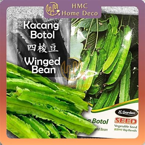 HMC K64 WINGED BEAN JC GARDEN VEGETABLE SEED GARDENING PLANTING TANAMAN