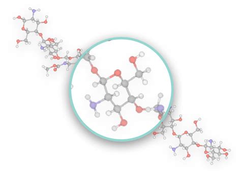 An Overview Properties And Biomedical Applications Of Chitosan