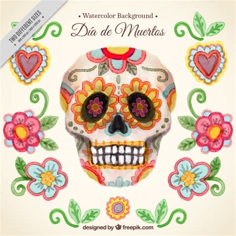 Fondo De Acuarela De Calavera Con Flores Vector Gratis