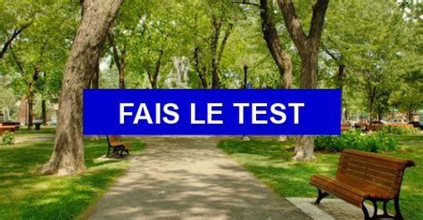 Test de personnalité Quel chien est fait pour toi