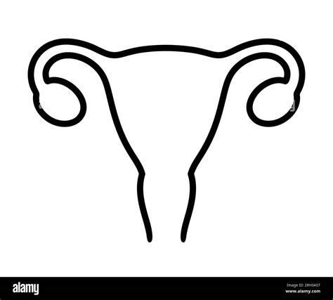 Icona Della Linea Uterina Umana Semplice Disegno In Bianco E Nero