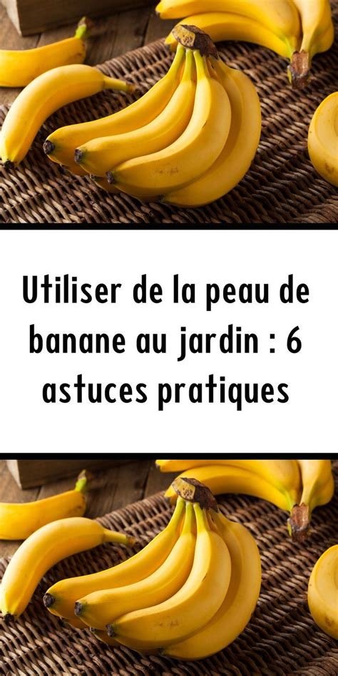 Utiliser De La Peau De Banane Au Jardin 6 Astuces Pratiques Peau De