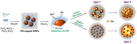 Nanomaterials Free Full Text Synthesis Of Iron Oxidegold Composite