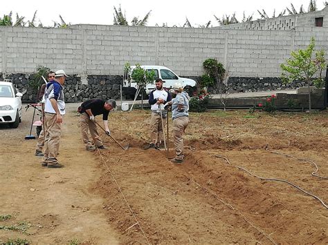 Finaliza El Certificado De Actividades Auxiliares En Agricultura