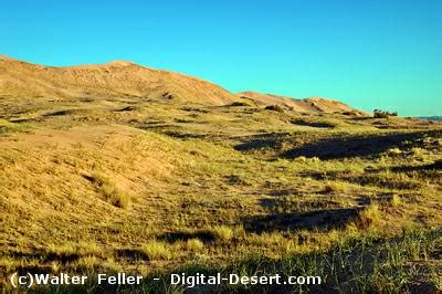 Geology of Mojave Preserve