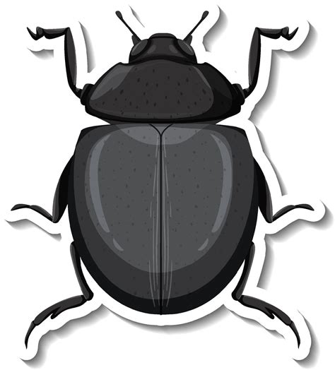 A Sticker Template With Top View Of A Beetle Isolated Vector