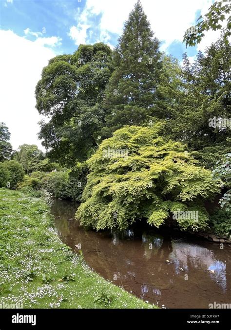 River Wye Running Through The Buxton Pavilion Gardens In The Peak