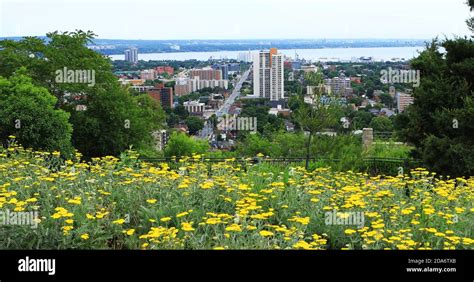 Hamilton, ontario skyline hi-res stock photography and images - Alamy