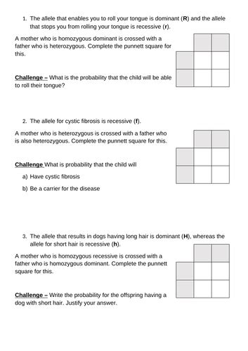 Punnett Squares and Pedigree Analysis | Teaching Resources