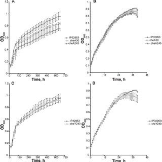 Growth Curves Of Yersinia Pseudotuberculosis IP32953 Wild Type Strain