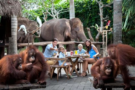 Bali Zoo Tickets Explore Over 12 Hectares Of Area