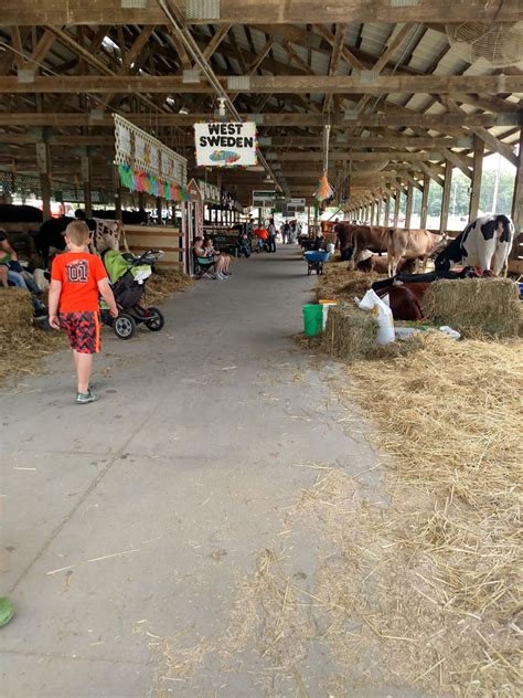 About The Polk County Fair In Wisconsin Polk County Fair