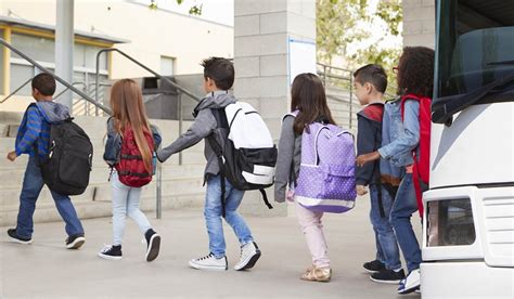 Cinf Es Transportes Mant M Se Gratuitos Para Alunos Que Residam A Mais