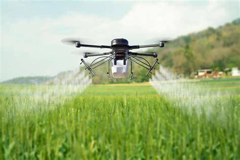 Drone spraying pesticide on wheat field. 6024500 Stock Photo at Vecteezy