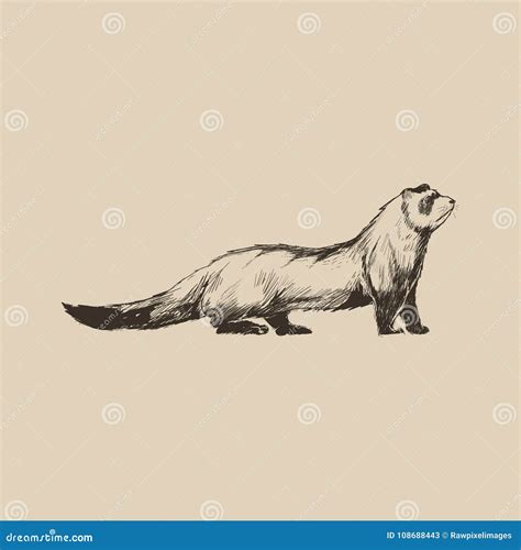 ways to ferret stressed easily 6