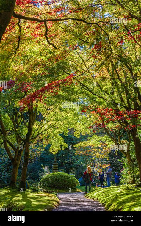 People Enjoying The Calm Of Nitobe Japanese Gardens At Ubc Vancouver