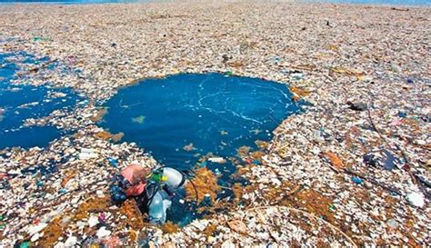 Crece exponencialmente la isla de basura en el norte del Océano