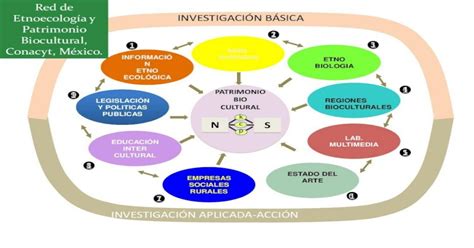 Pdf Etnoecología Y InvestigaciÓn BÁsica Patrimonio 12 Red De