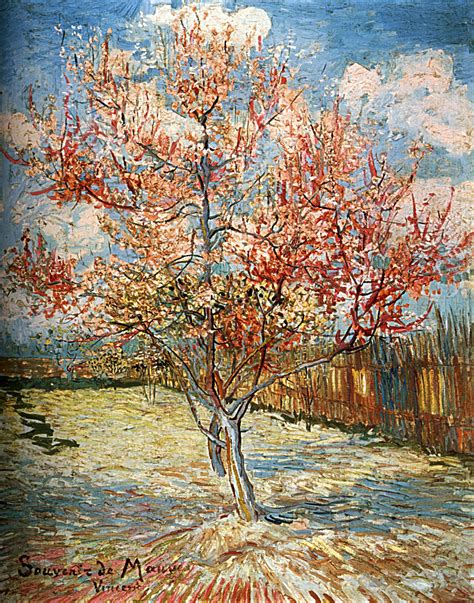 Vincent Van Gogh P Cher Rose En Fleurs Souvenir De Mauve Huile