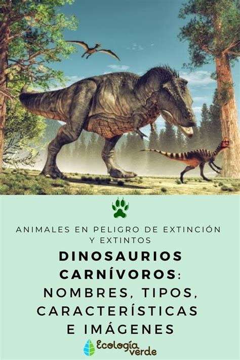 Dinosaurios CarnÍvoros Nombres Tipos Características E Imágenes