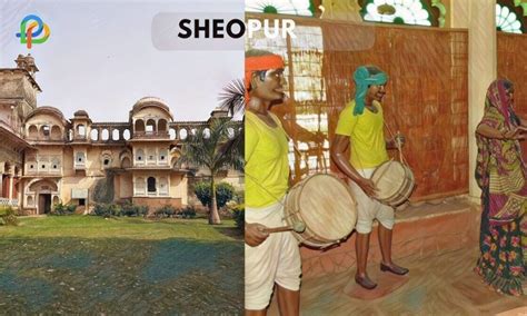 Discover Top Tourist Attractions In Sheopur!